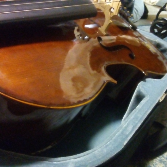 "student"Chello (Cremona) - Picture 4 of 8